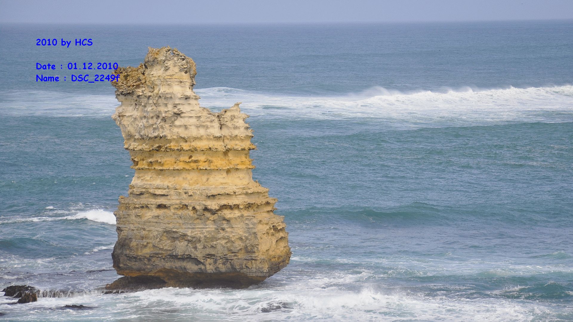 DSC_2249f