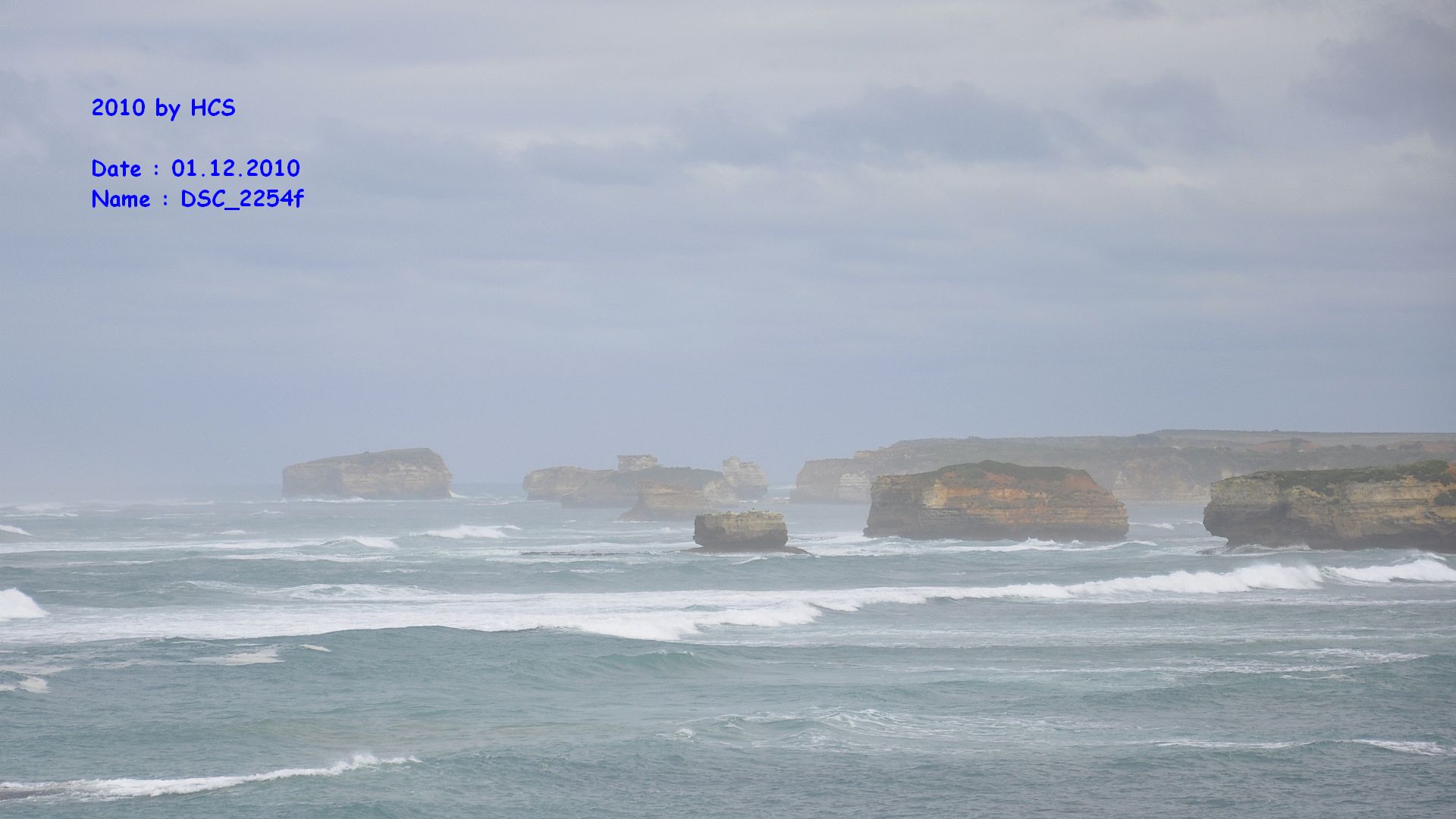 DSC_2254f