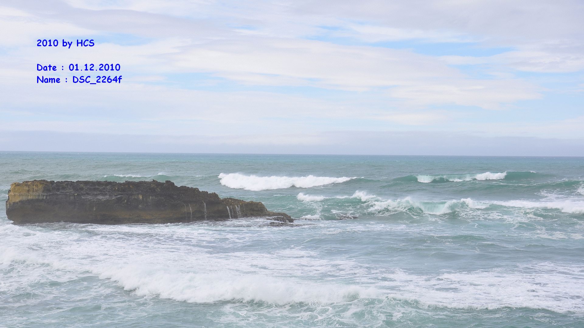 DSC_2264f