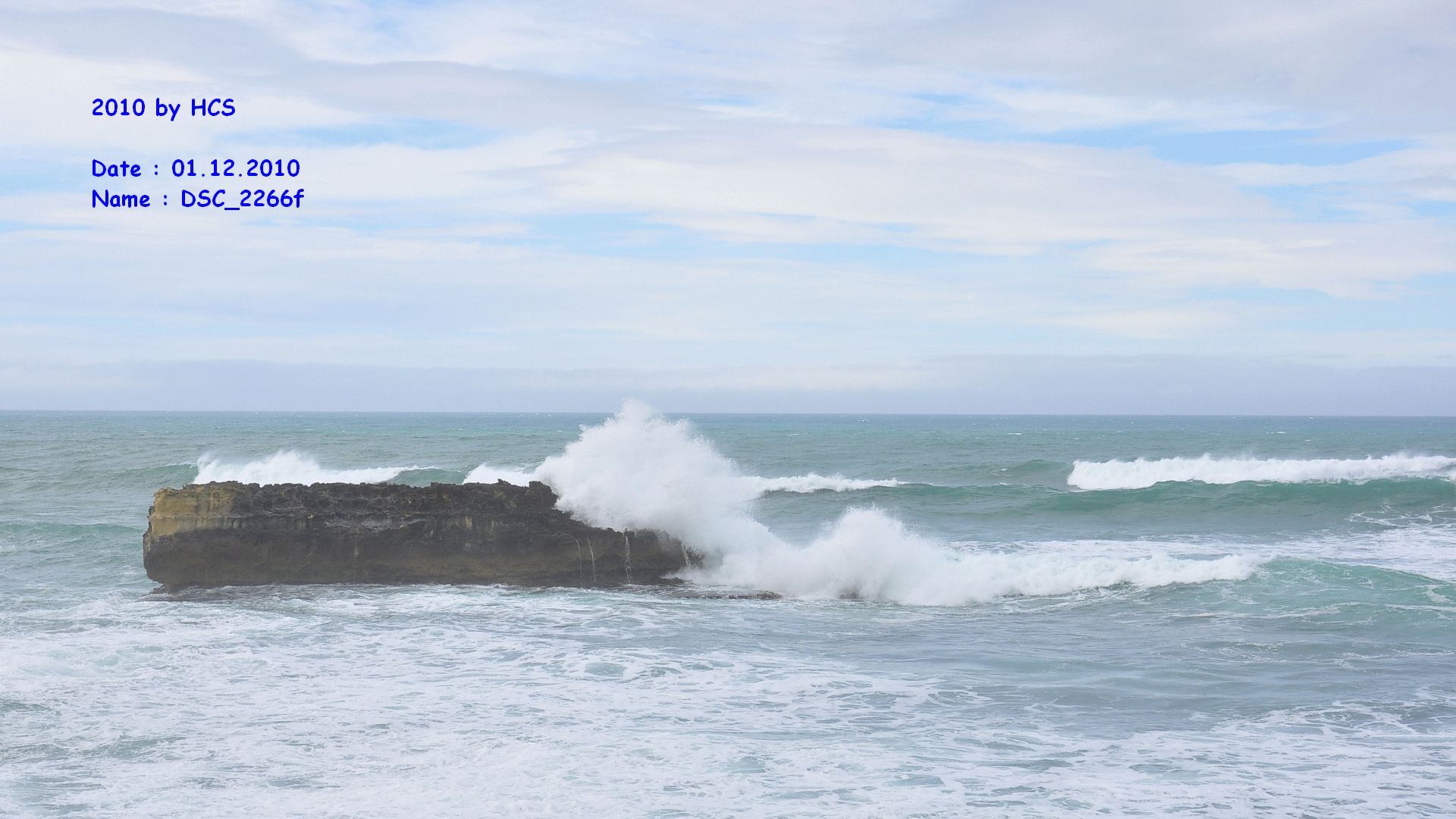 DSC_2266f