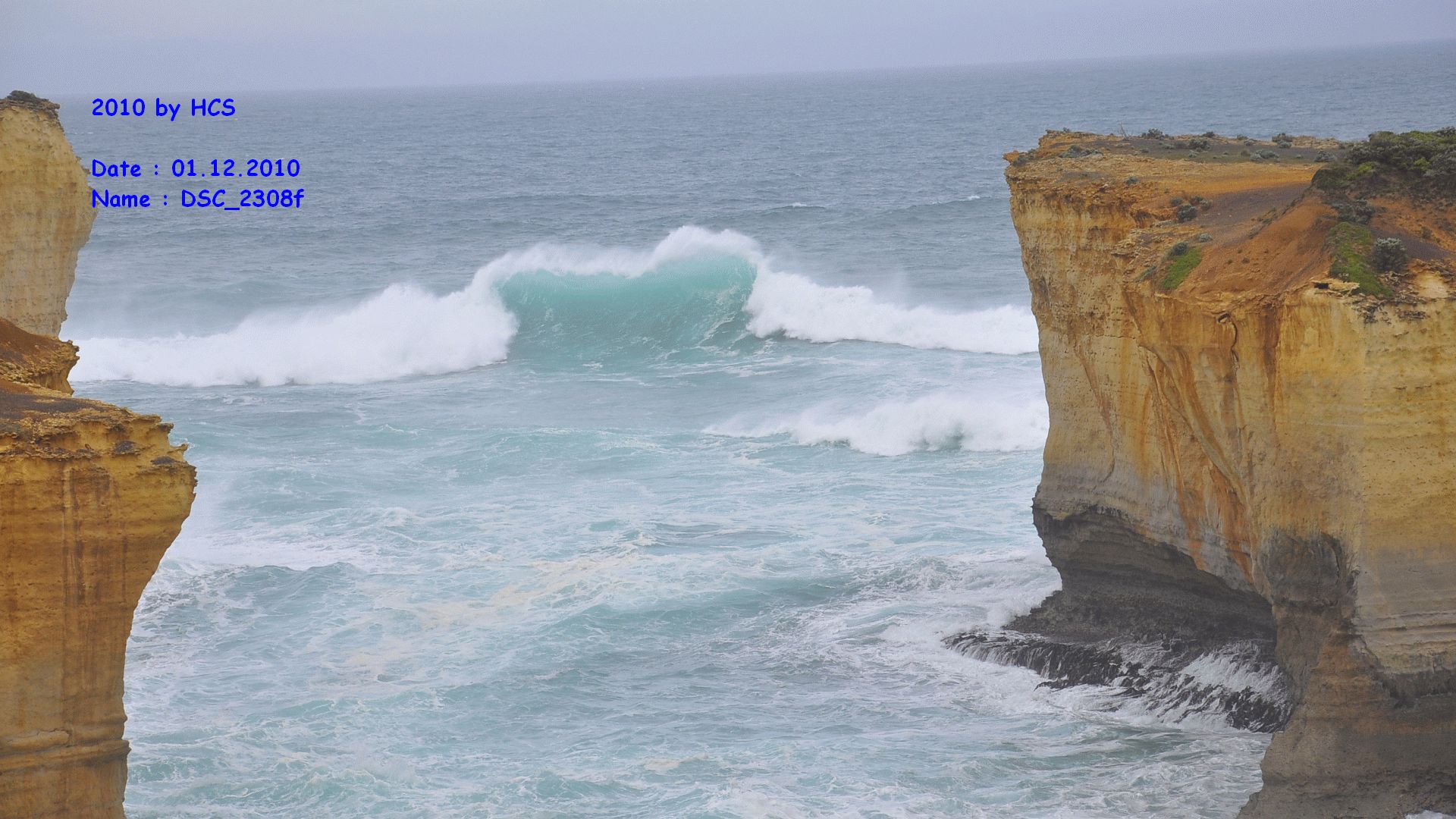 DSC_2308f