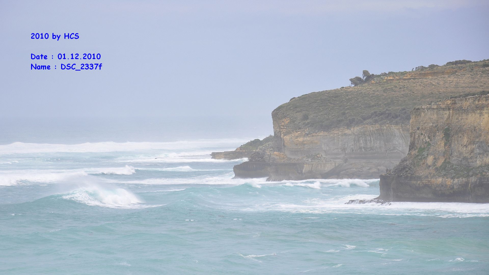DSC_2337f