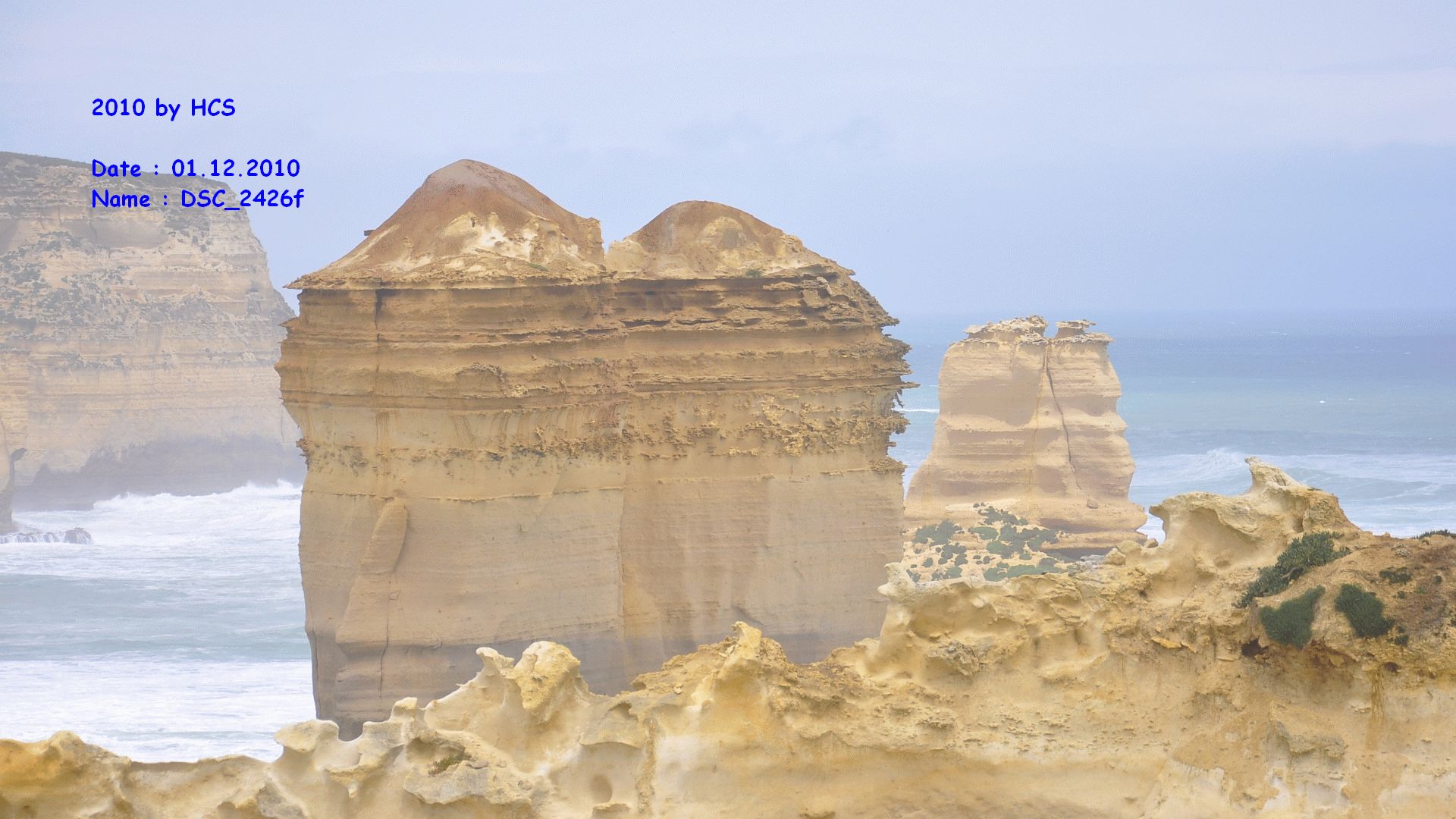 DSC_2426f