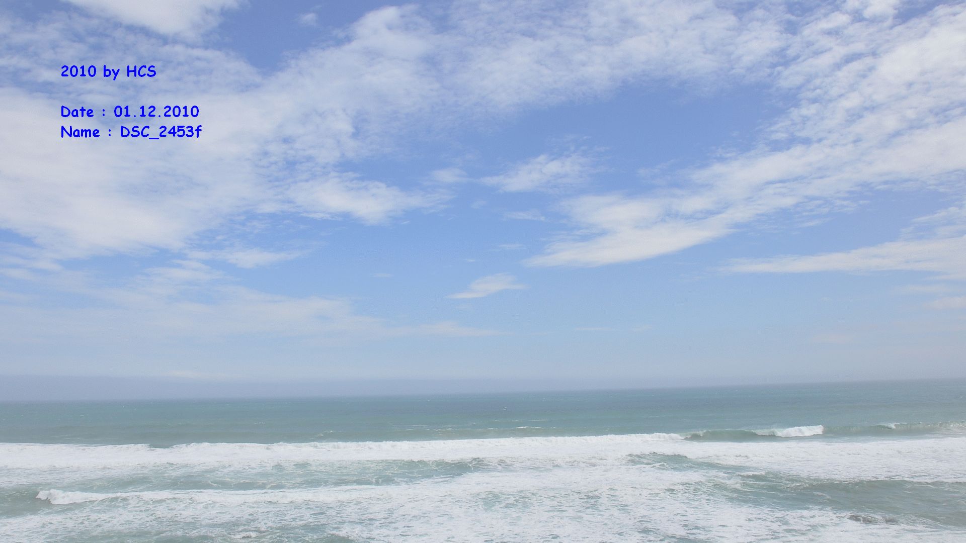 DSC_2453f
