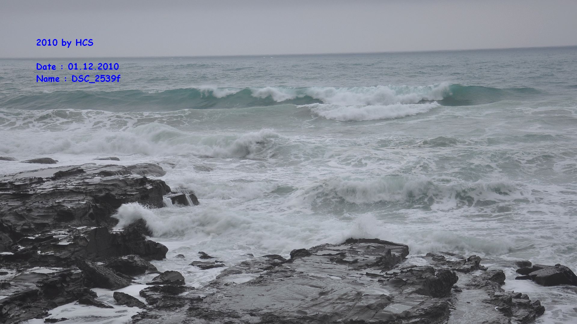DSC_2539f
