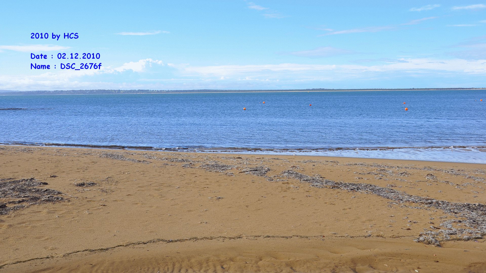 DSC_2676f