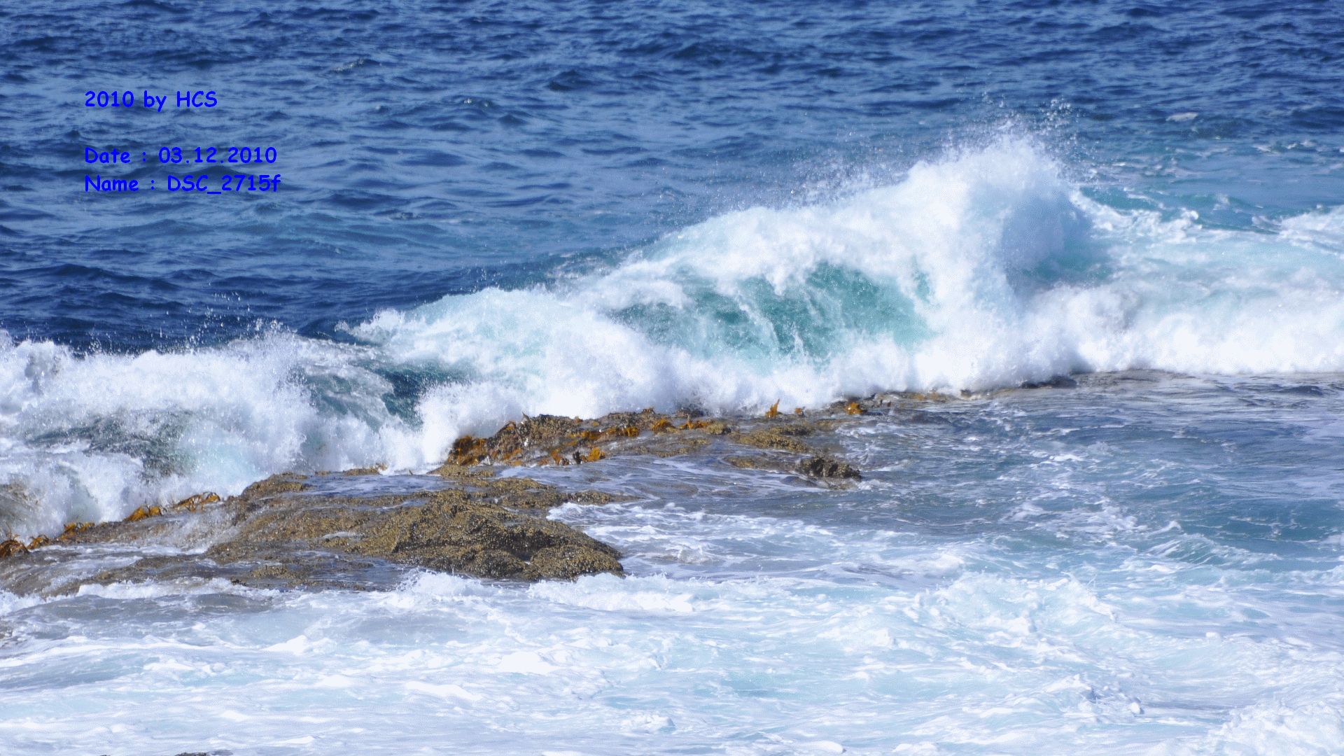 DSC_2715f