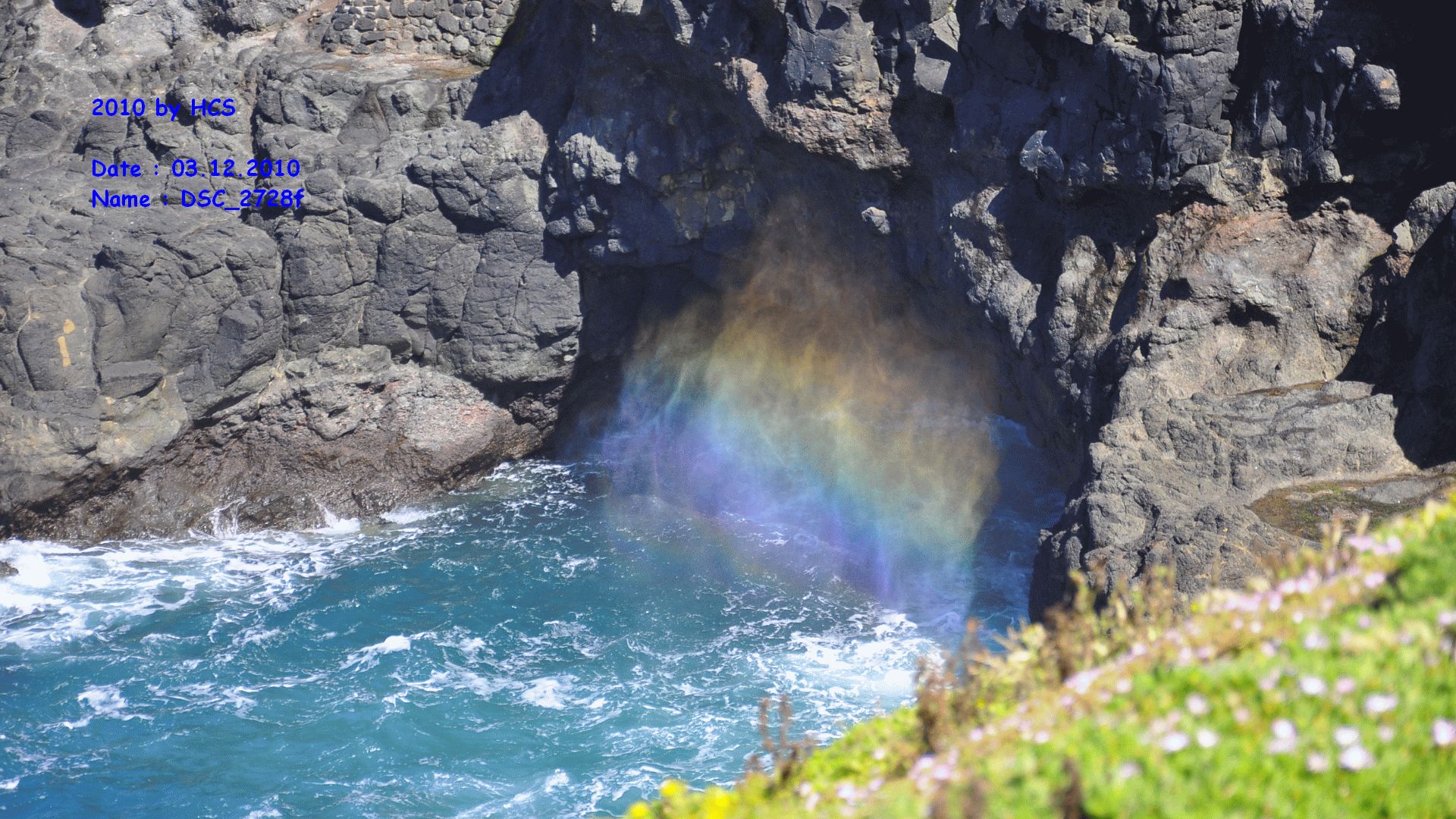 DSC_2728f